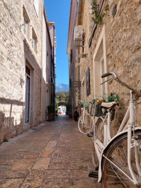Apartments Budva